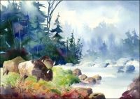 American Bison Print