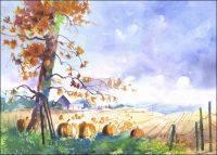 Pumpkin Patch Original painting